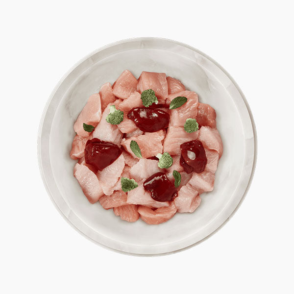 TERRA FELIS Adult Grain-Free Turkey