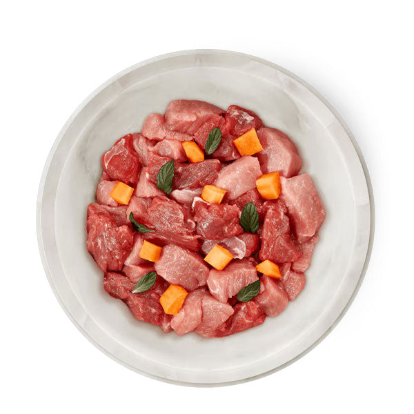 TERRA FELIS Adult Grain-Free Salmon