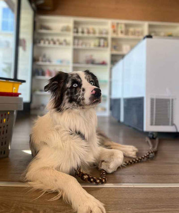 Sie finden uns an der Riedikerstrasse 50, 8610 Uster