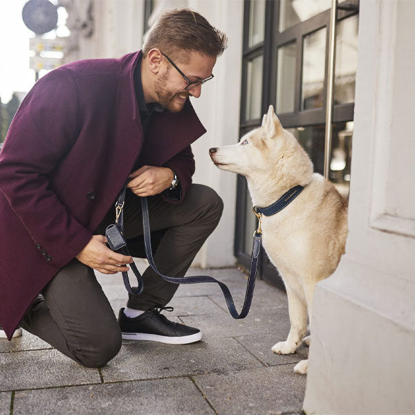 WILLIAM WALKER dog leash Midnight 