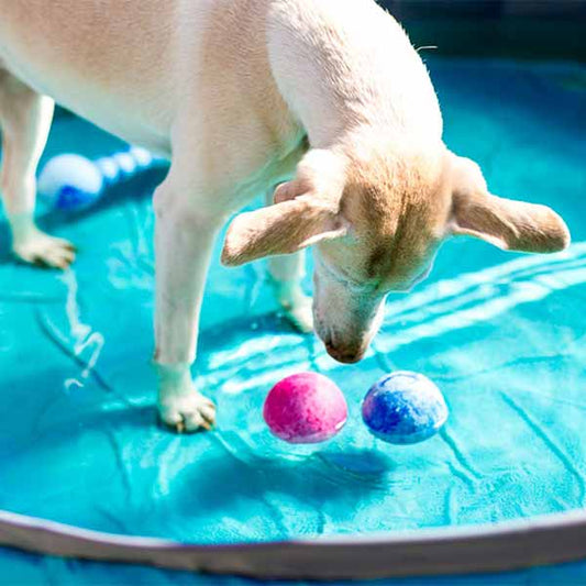 WOLTERS Aqua-Fun Ball