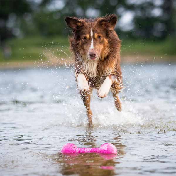 WOLTERS Aqua-Fun dumbbell