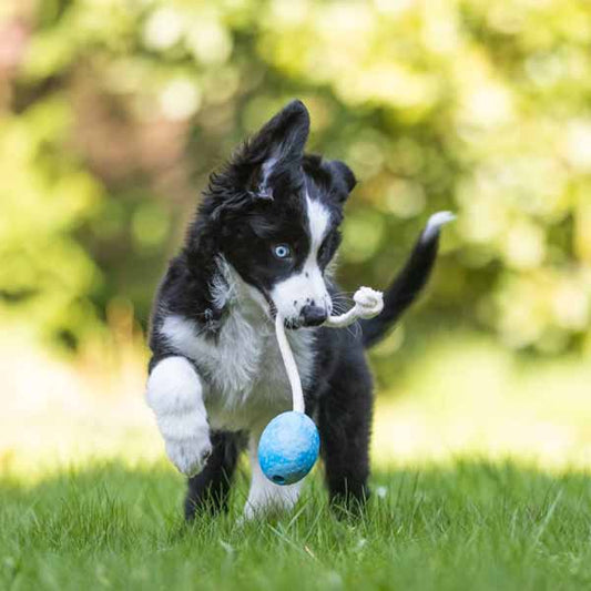 WOLTERS Aqua Fun Ball