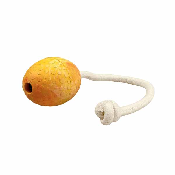 WOLTERS Aqua Fun Ball